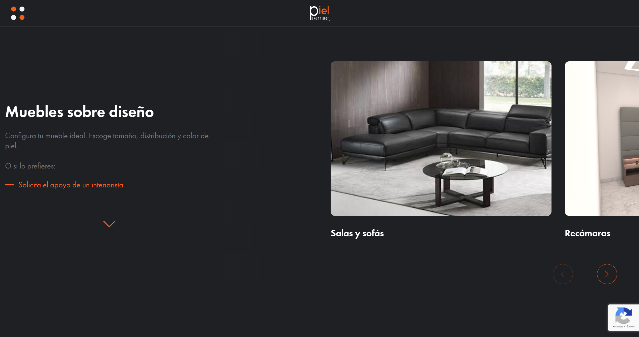 Preview Piel Premier